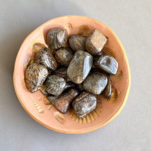 Bronzite